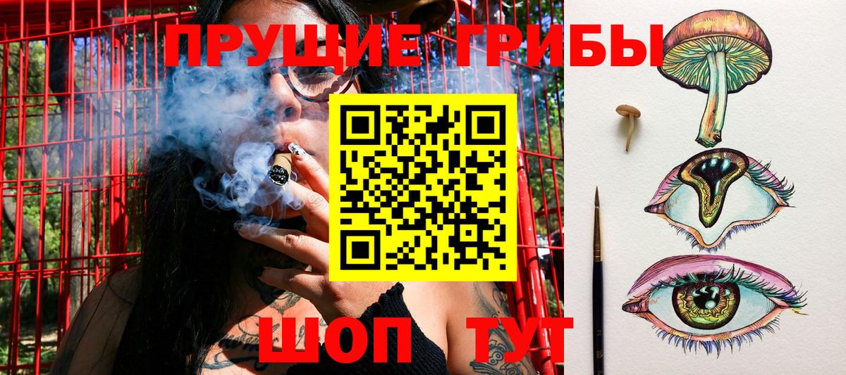 Галлюциногенные грибы GOLDEN TEACHER  Вход с VPN  где купить наркоту  Северск  Псилоцибиновые грибы Magic Shrooms 
